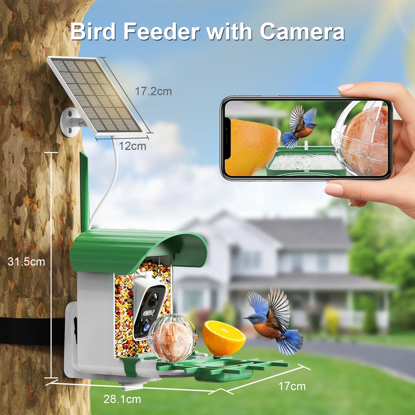 Videolife Smart Bird Feeder With Camera AI Recognition