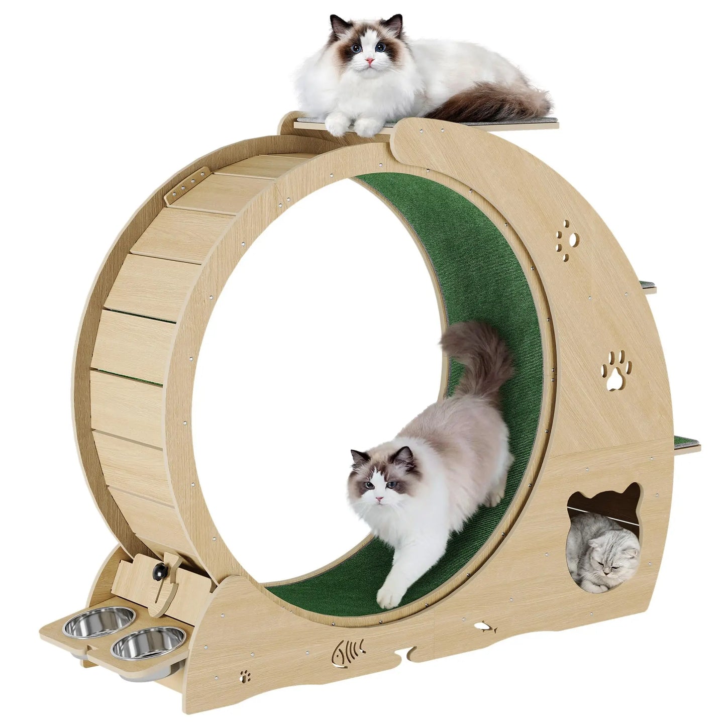 HiMISS 6-In-1 Cat Treadmill Exercise Wheel For Cats