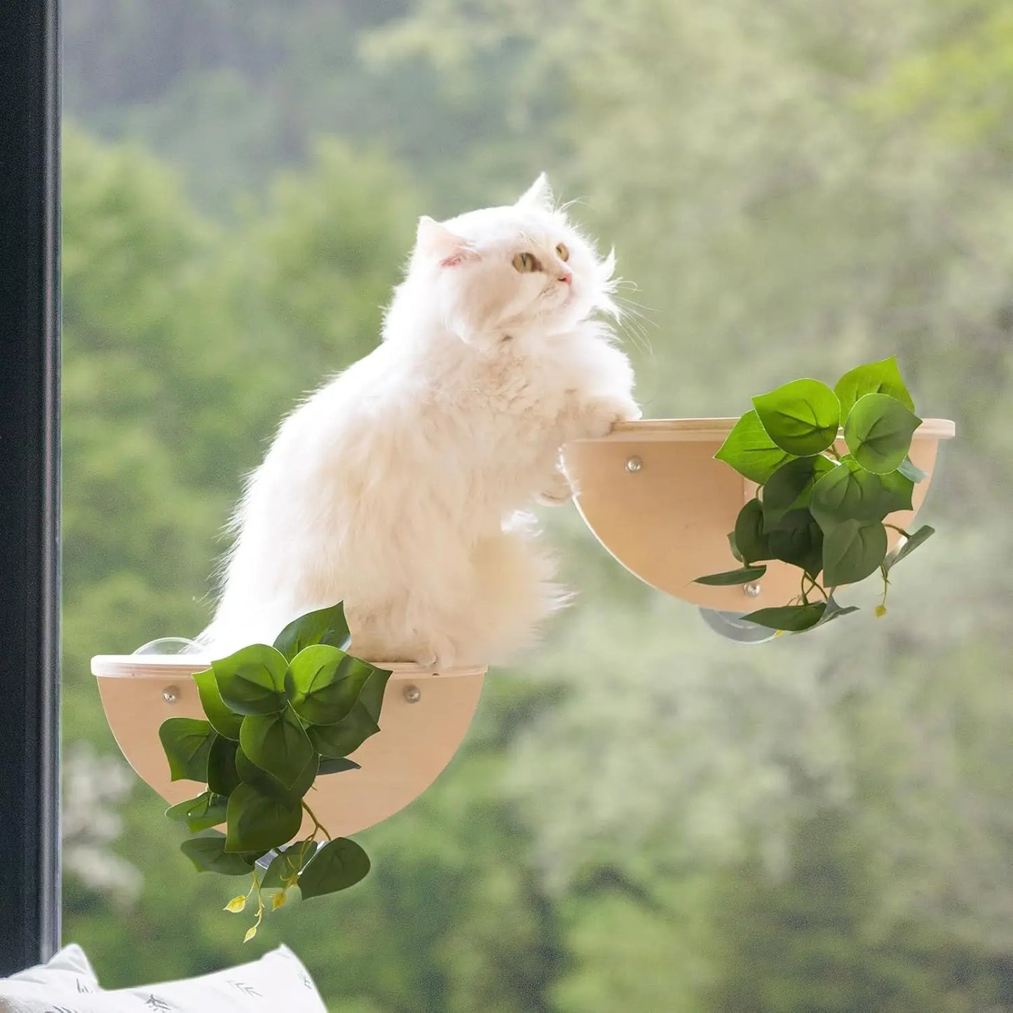 XMSJ Cat Window Perch Set With Scratching And Suction Cups