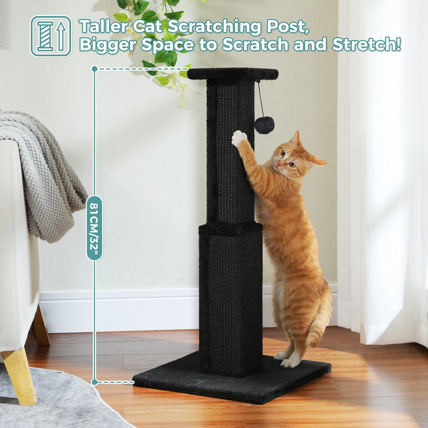 PAWZ Road Cat Scratching Post With Woven Sisal Ball