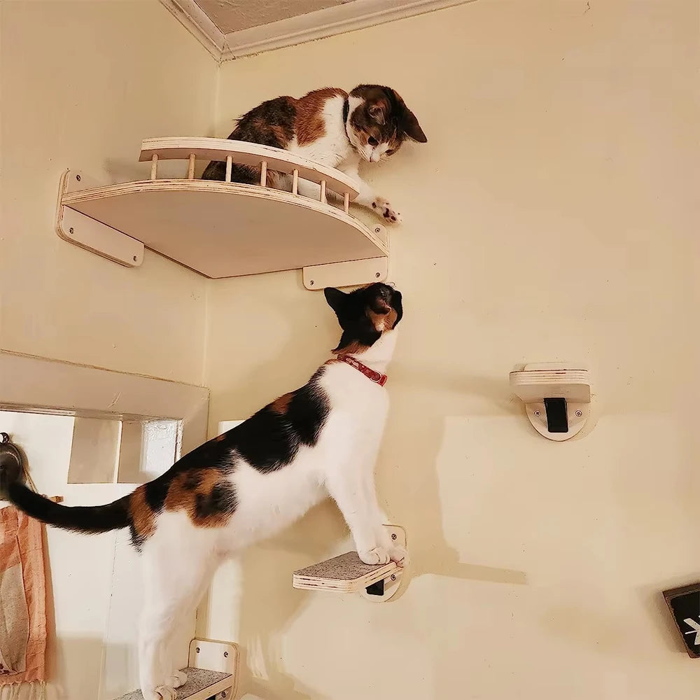 Cat Wall Mounted Climbing Shelf With Sisal Scratching Post