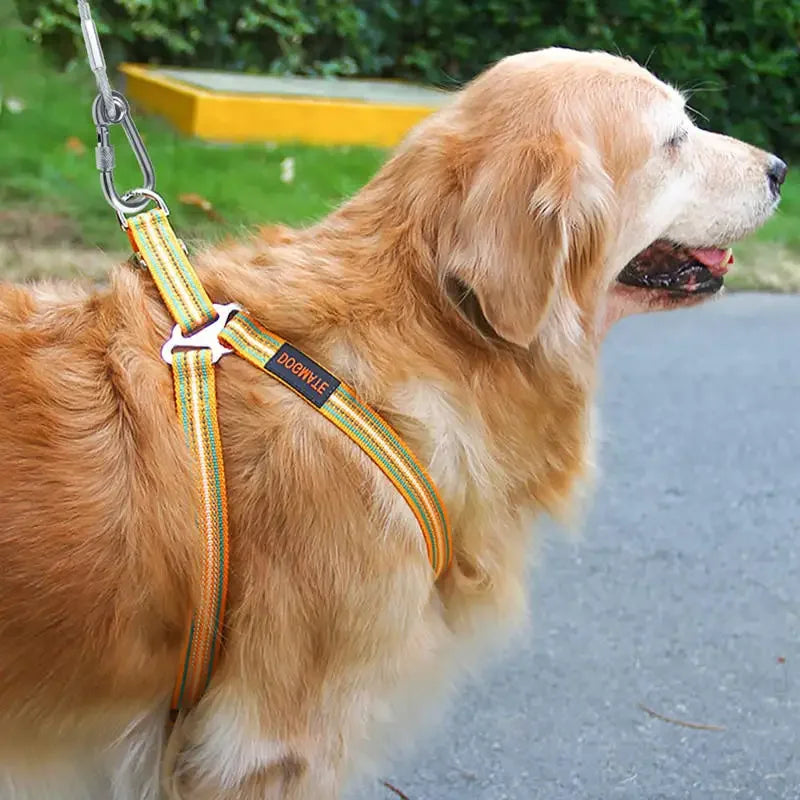 Stainless Steel Double Headed Dog Tie Out Cable Leash