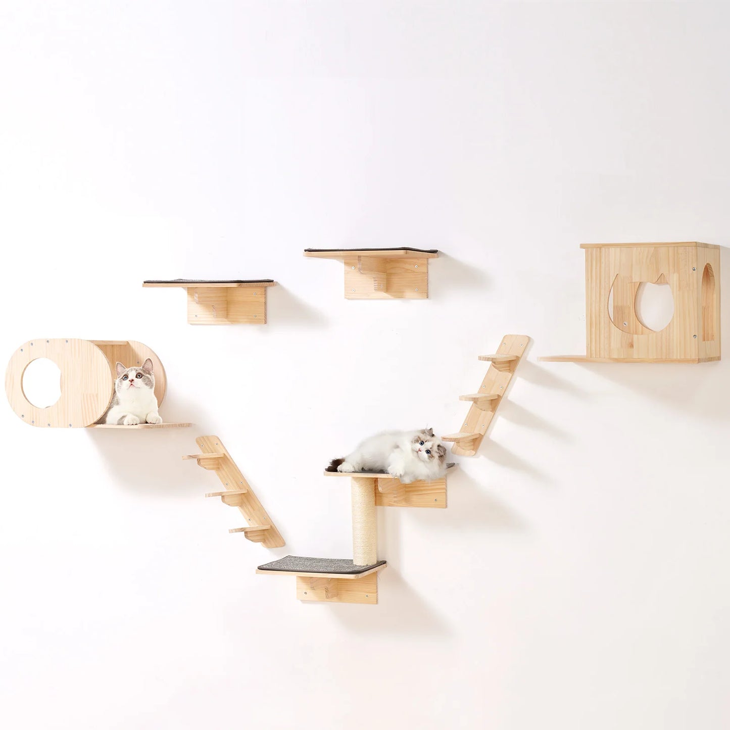 SucceBuy Wall Mounted Cat Shelves and Perches Cat Tree