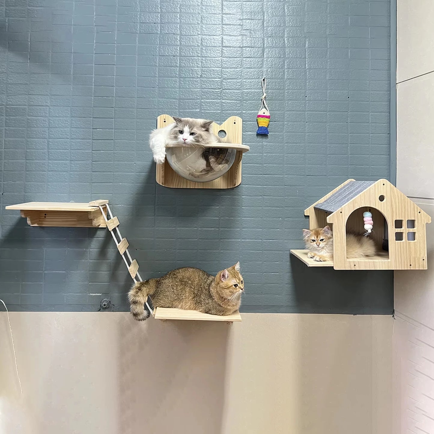 Wooden Cat Villa Wall Shelf for Sleeping and Resting