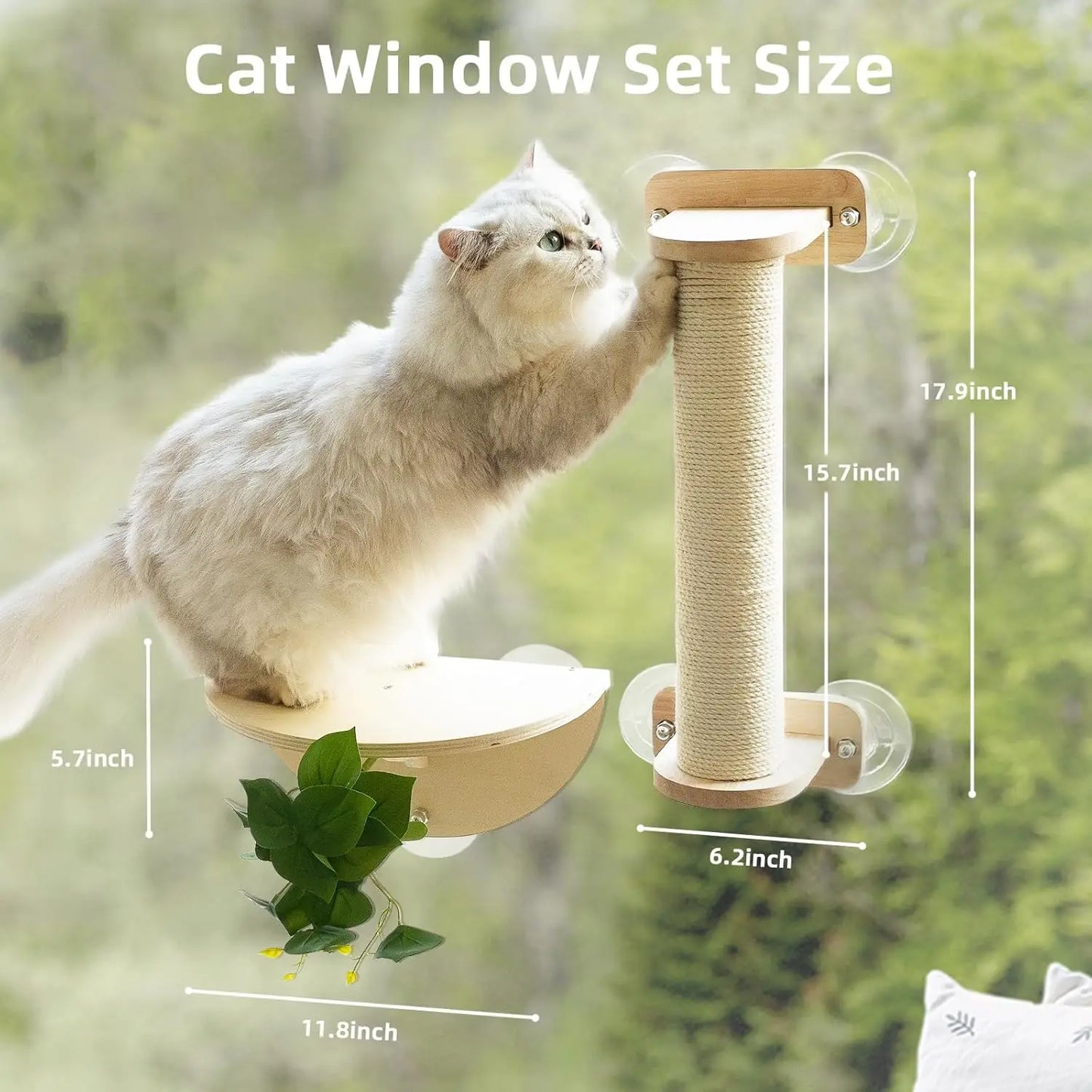 XMSJ Cat Window Perch Set With Scratching And Suction Cups