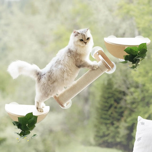 XMSJ Cat Window Perch Set With Scratching And Suction Cups