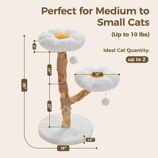 PEQULTICN Solid Wood Cat Tree With Tiered Condo And Perches