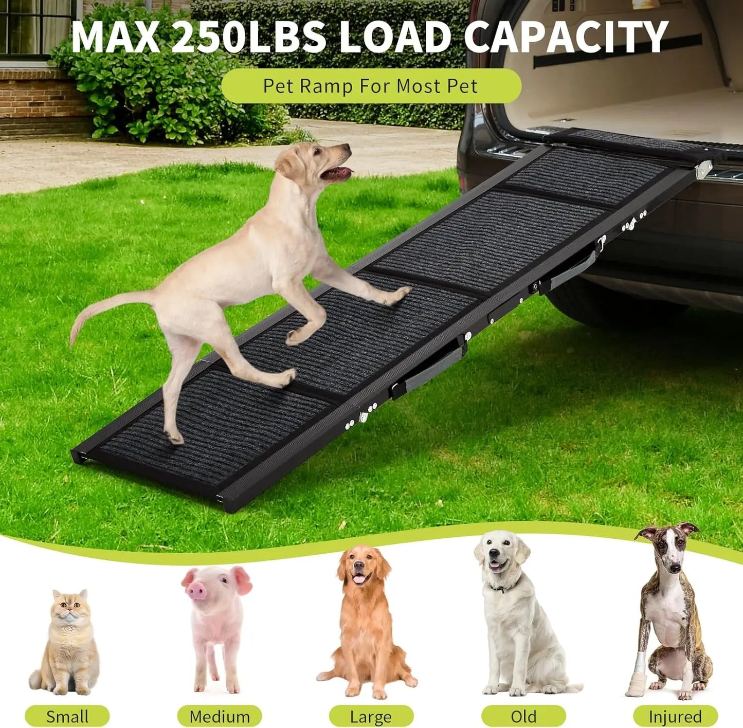 TWISTER.CK Quad-Fold Dog Ramp Non-Slip Portable For Large Dogs