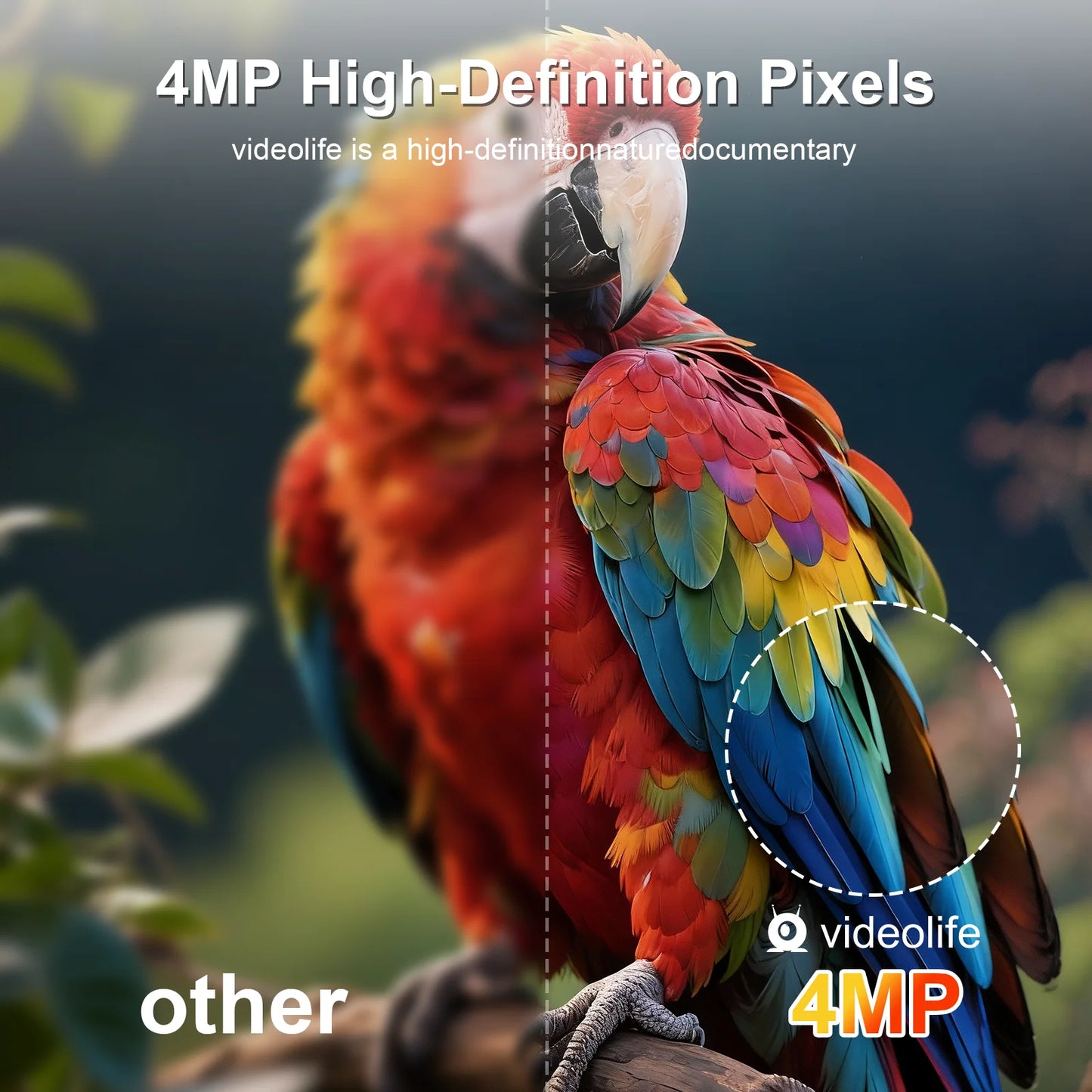 Videolife Smart Bird Feeder With Camera AI Recognition