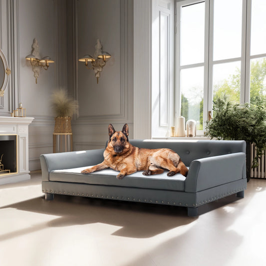 BINGOPAW Elevated Dog Sofa Bed Durable Waterproof Leather