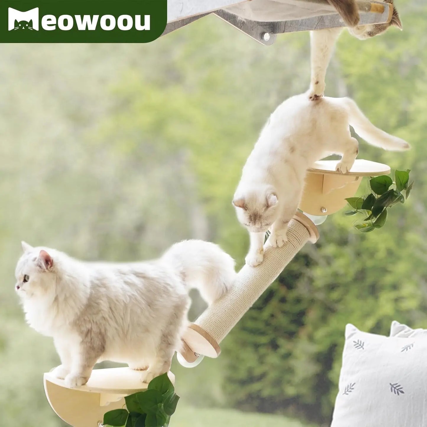 XMSJ Cat Window Perch Set With Scratching And Suction Cups