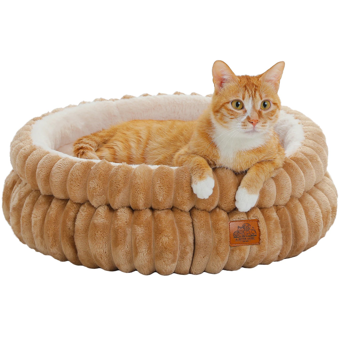 PAWZ Road RoundShaped Dog Bed For Medium Dogs And Cats