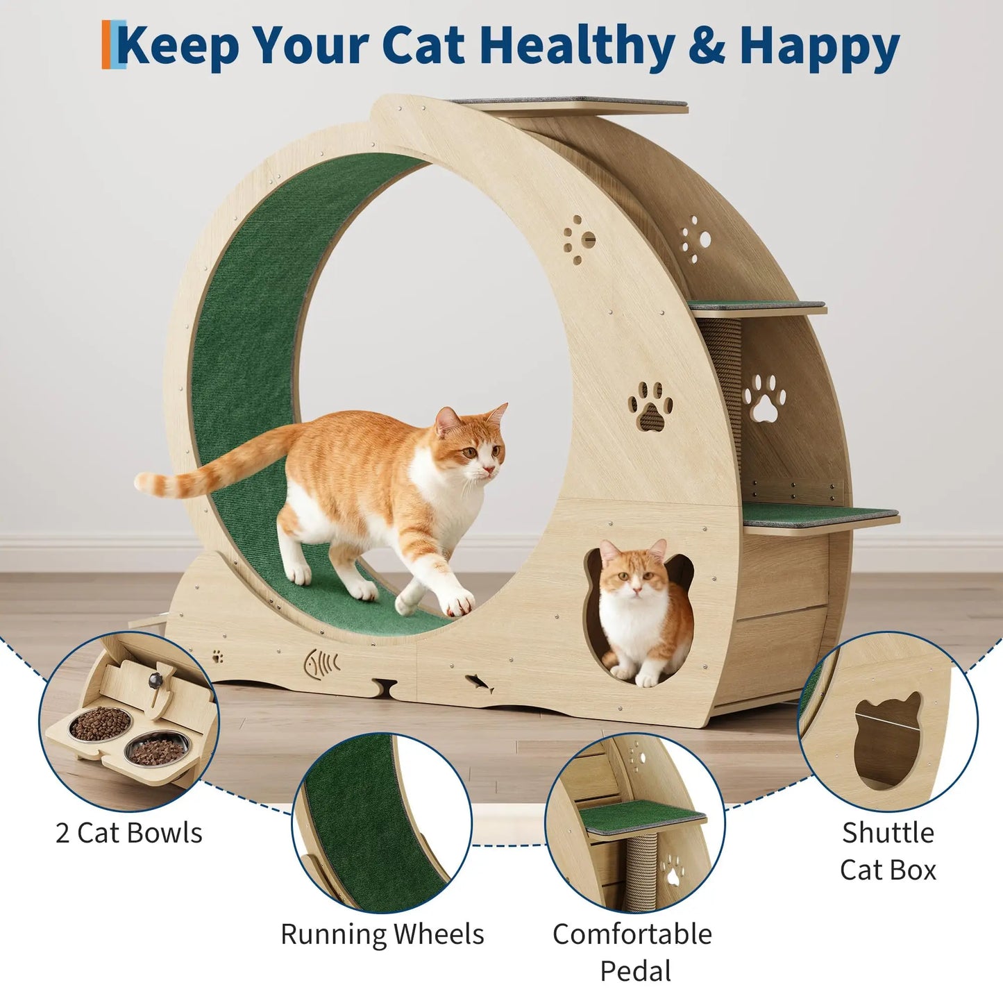 HiMISS 6-In-1 Cat Treadmill Exercise Wheel For Cats