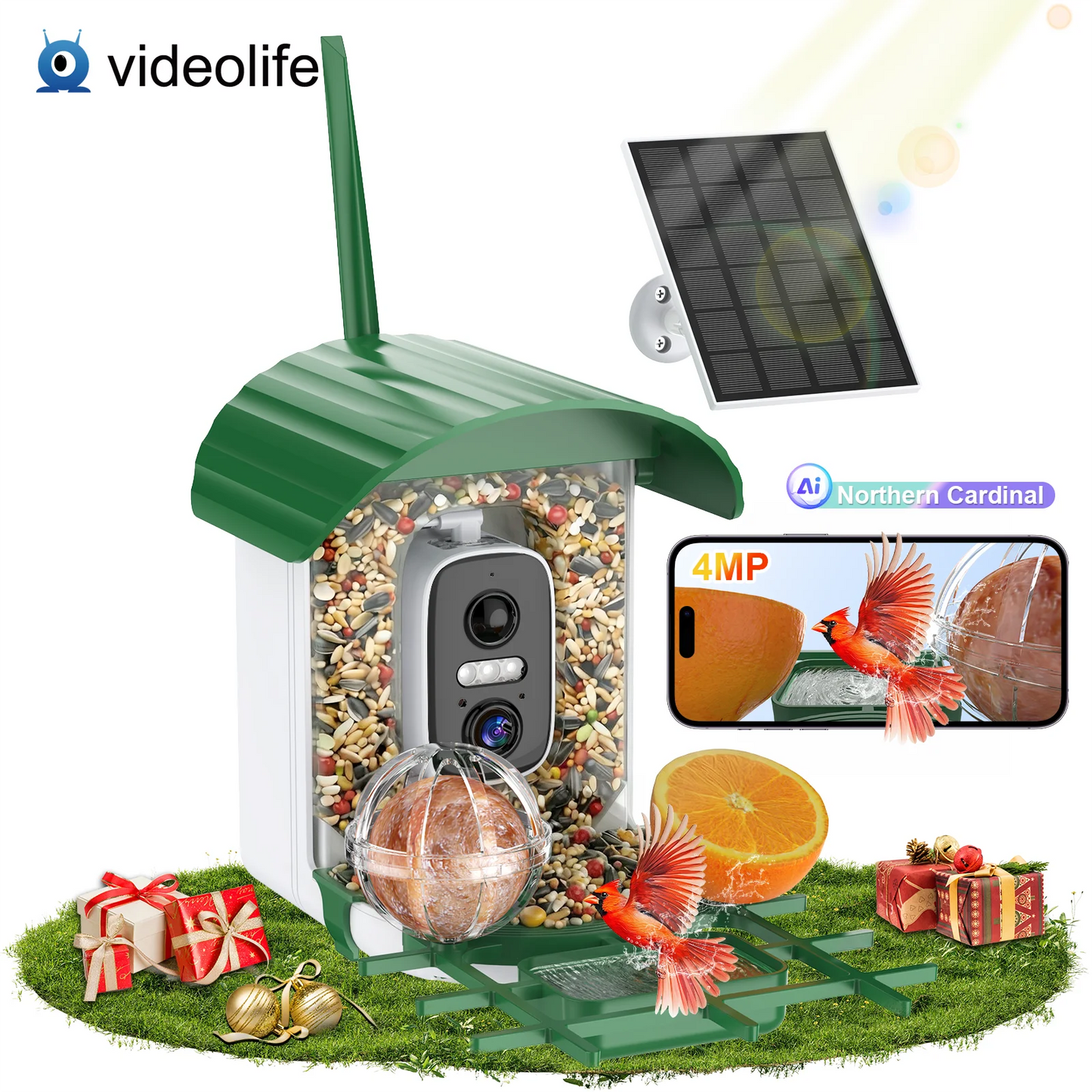 Videolife Smart Bird Feeder With Camera AI Recognition