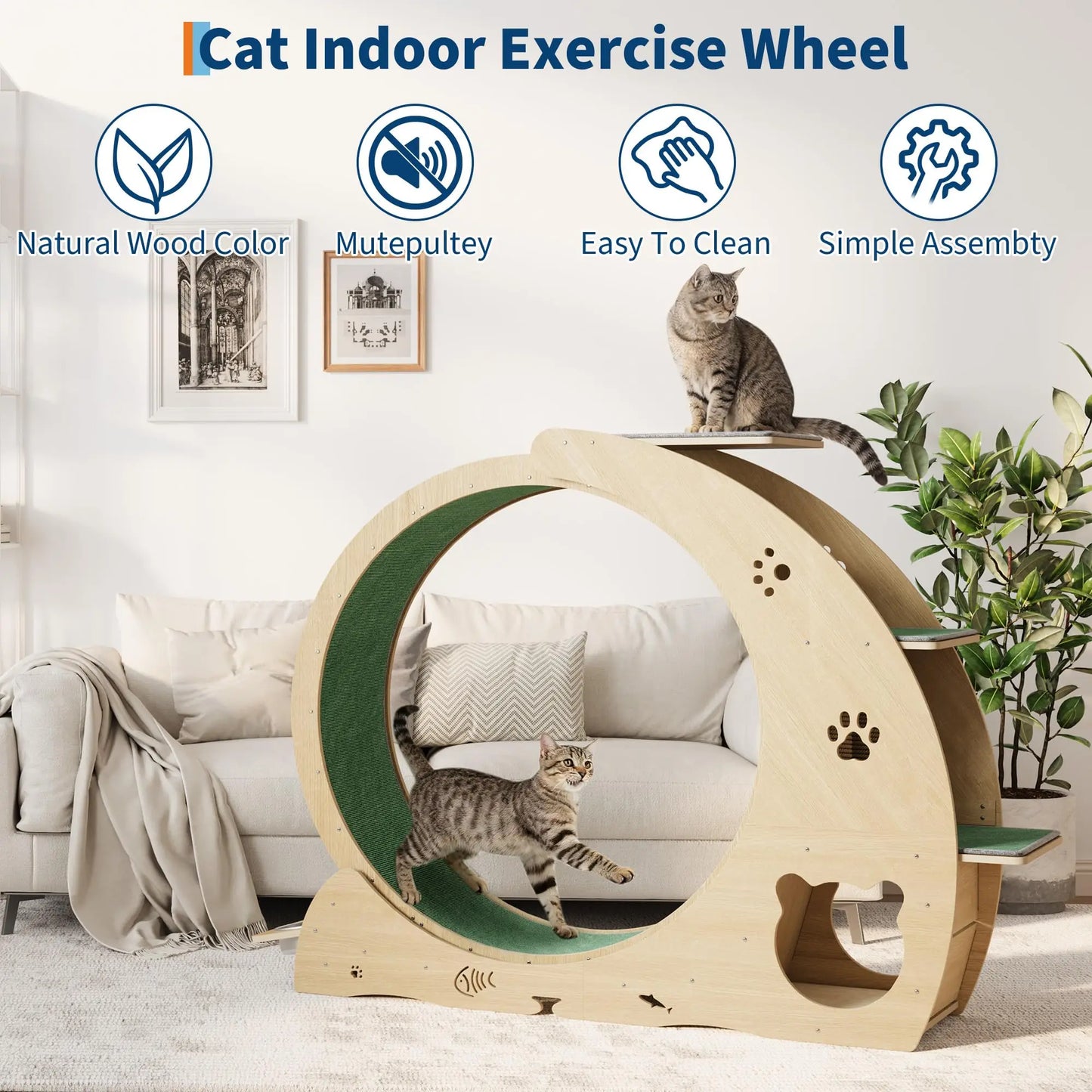 HiMISS 6-In-1 Cat Treadmill Exercise Wheel For Cats