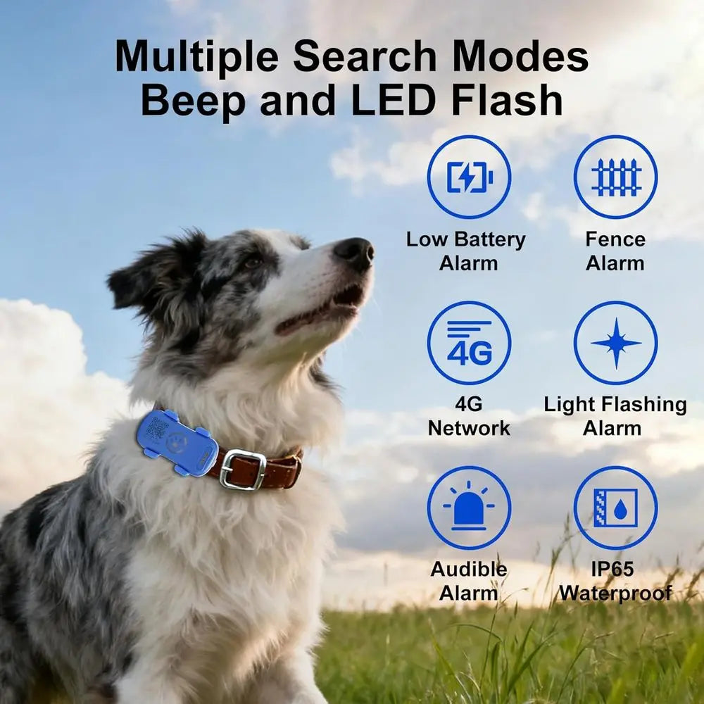GPS Pet Tracker For Dogs And Cats With Proximity Alerts