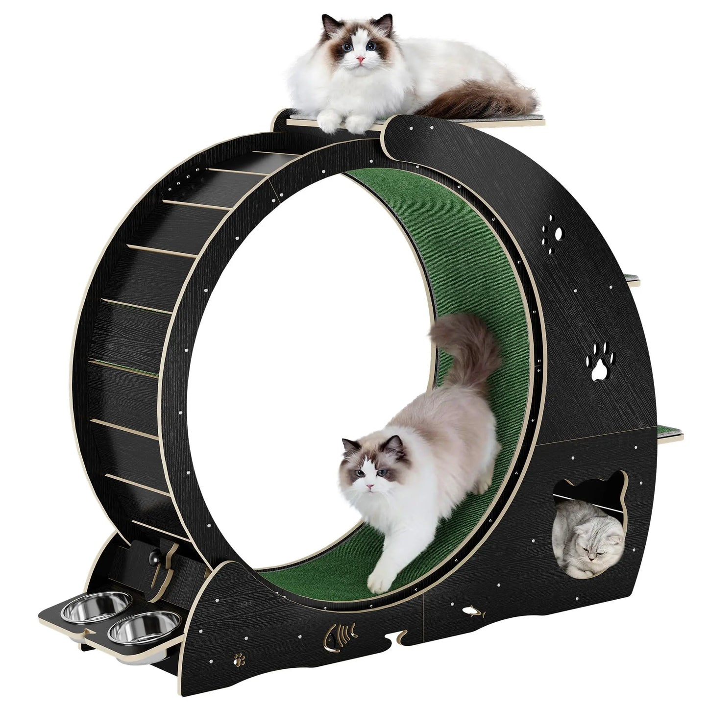 HiMISS 6-In-1 Cat Treadmill Exercise Wheel For Cats