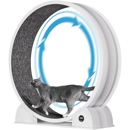 HiMISS Cat Exercise Wheel With Pedometer And Removable Mat
